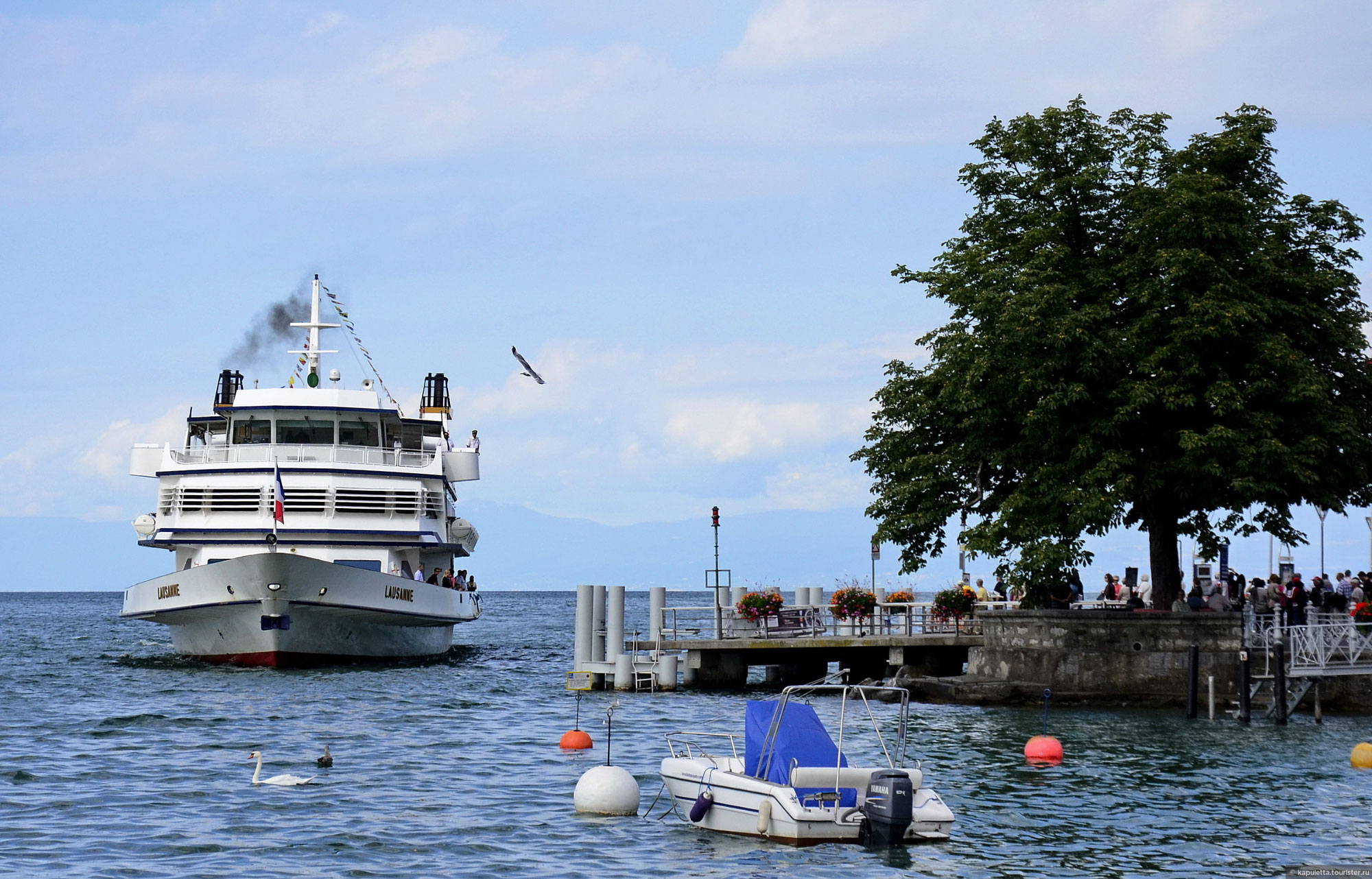 Vevey